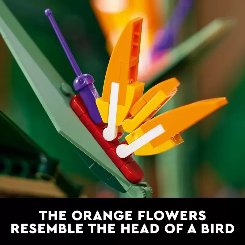 10289 ICONS BIRD OF PARADISE