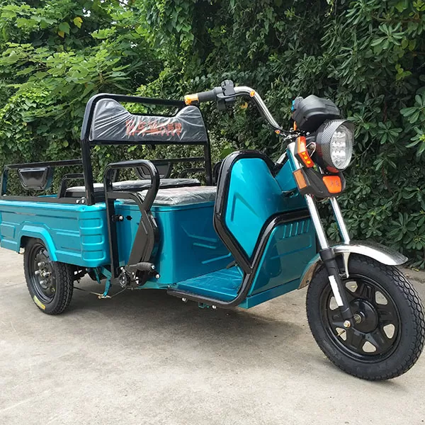 🔥First time supply - the most convenient electric car-Electric Mini Cargo Tricycle