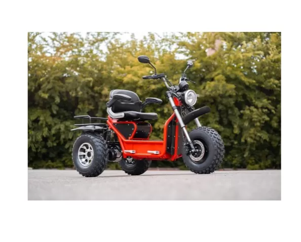 All Terrain Off Road Mobility Scooter 80km Battery Life【Free three-year warranty】