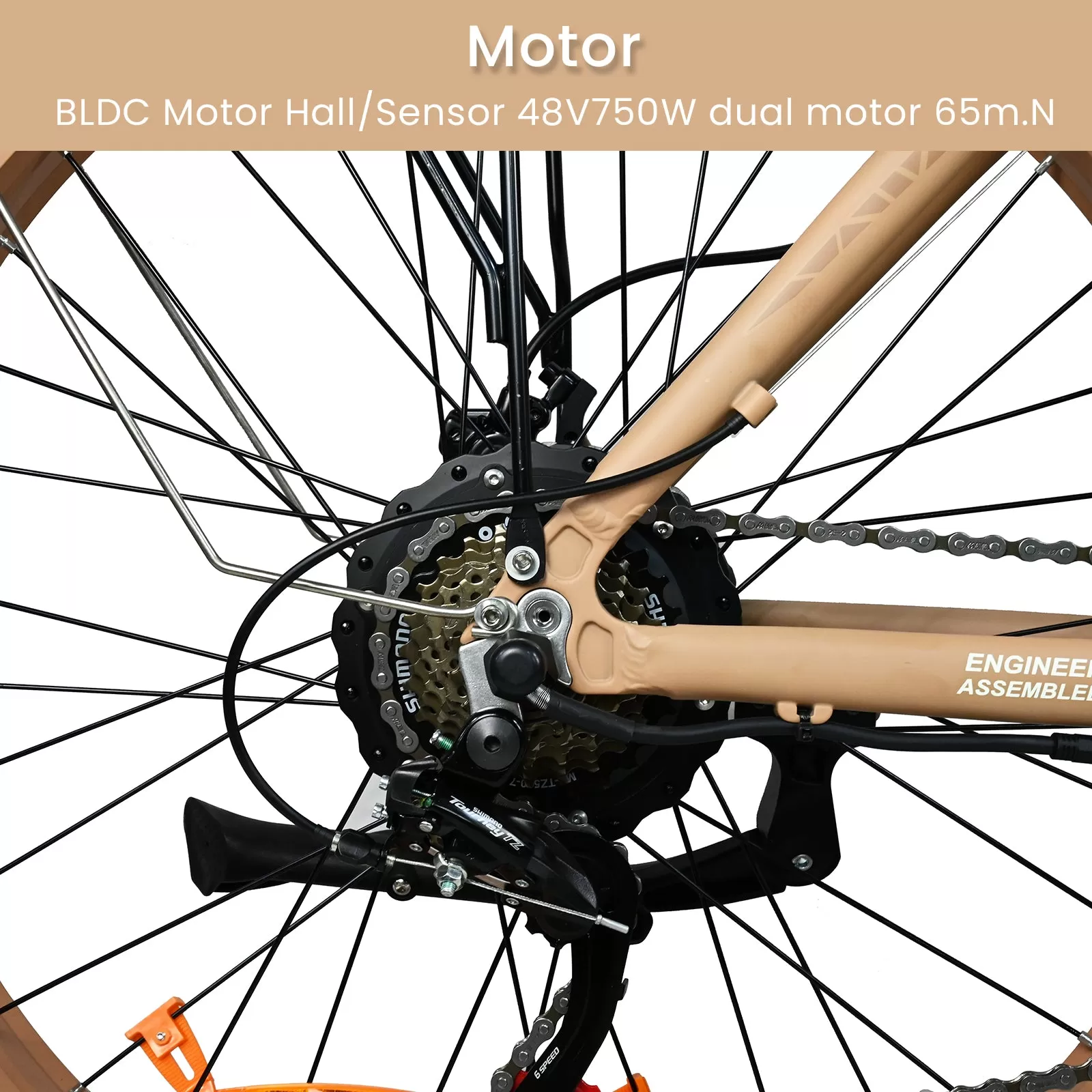 E-bike DP2602 48V 1000W*2 Dual Motor Hurricane Series