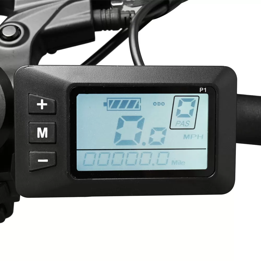 E-BIKE DZ2002 48V 13Ah 500W Performance Motor