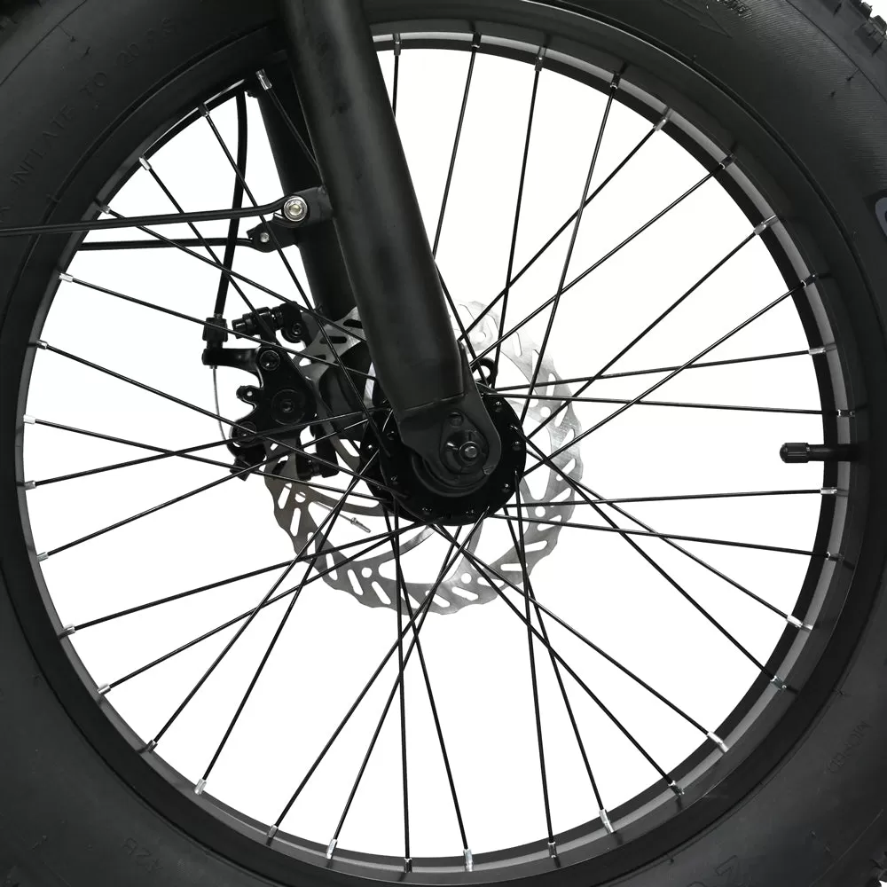 E-BIKE DZ2002 48V 13Ah 500W Performance Motor