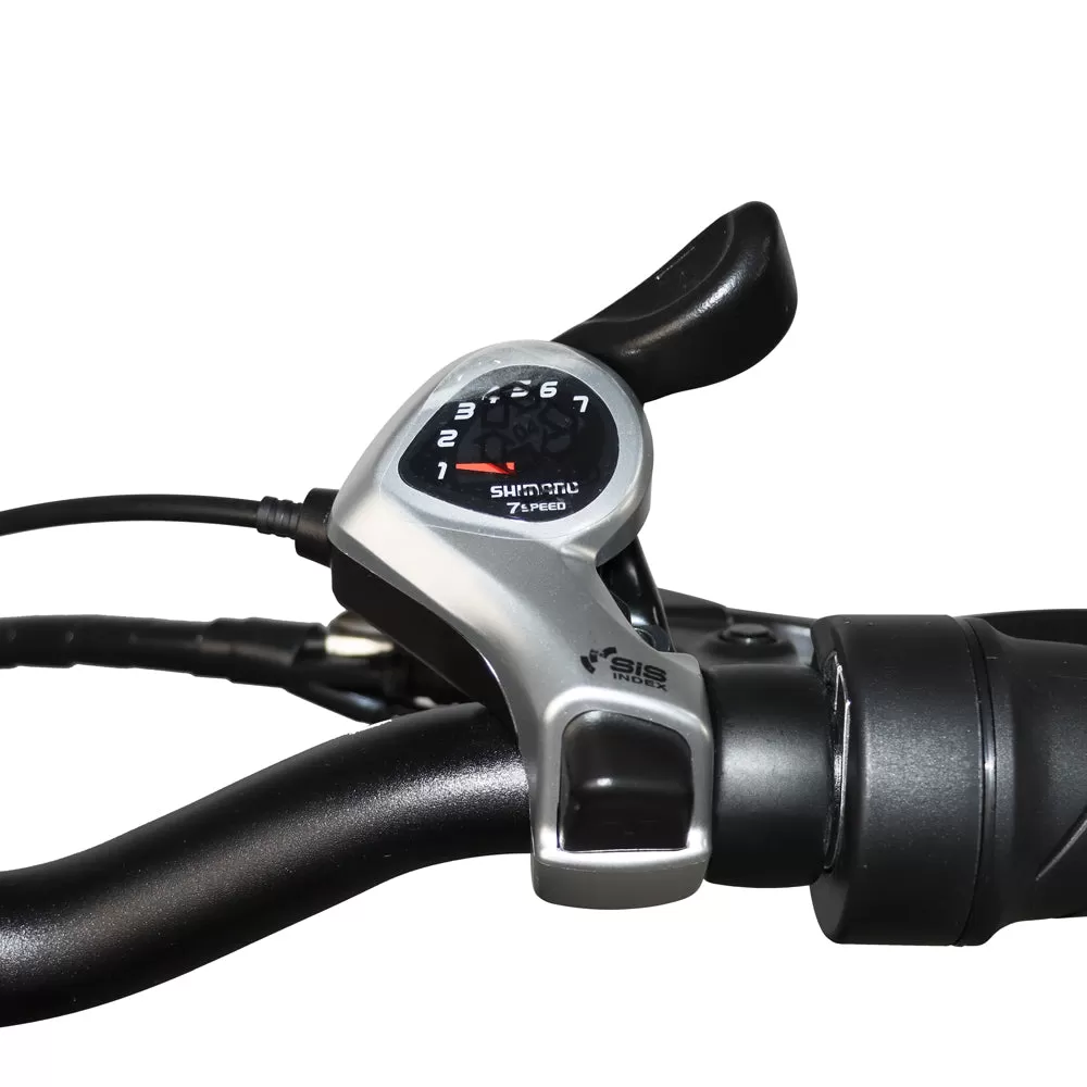 E-BIKE DZ2031 Round Tube Style 48V 13Ah 500W Performance Motor SHIMANO 7-Speed