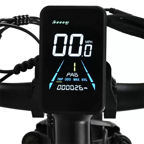 E-bike DP2602 48V 1000W*2 Dual Motor Hurricane Series