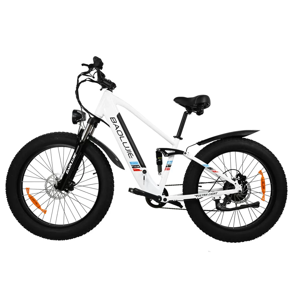 E-bike DP2615 Eel Shock Absorbers 48V12AH 26