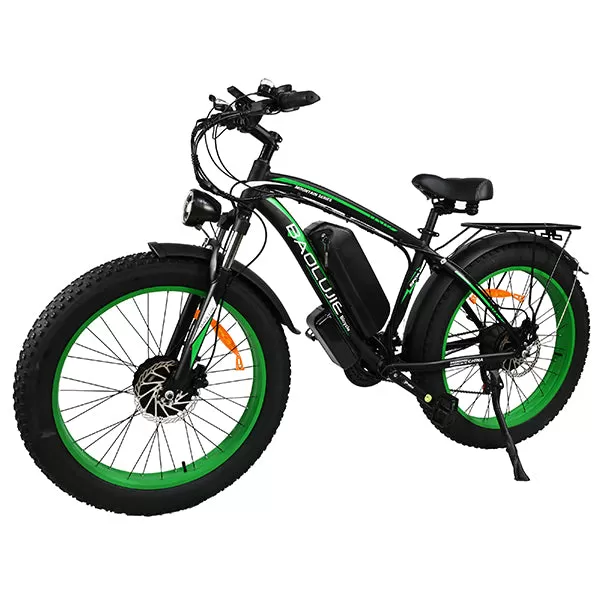 E-bike DP2602 48V 1000W*2 Dual Motor Hurricane Series
