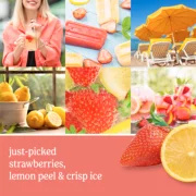 22 0z.Strawberry Lemon Ice