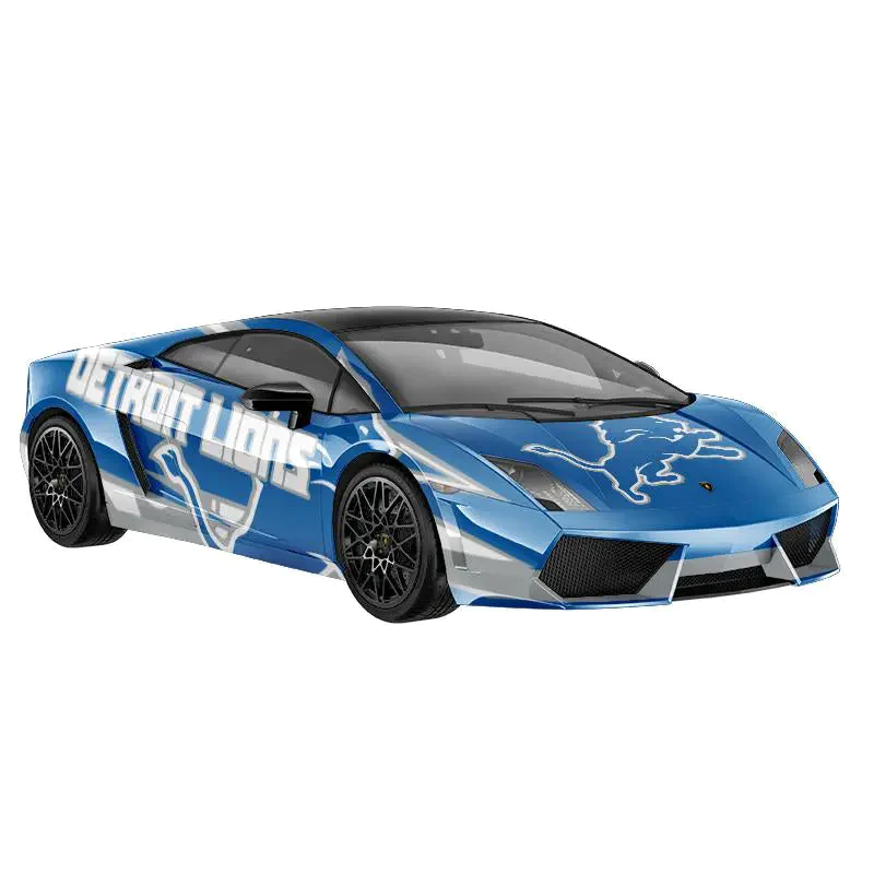 Detroit Lions Fans Box
