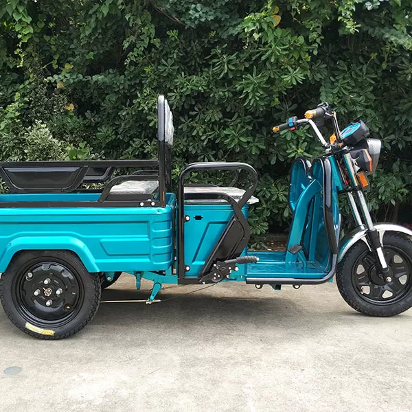 🔥First time supply - the most convenient electric car-Electric Mini Cargo Tricycle