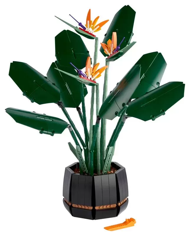 10289 ICONS BIRD OF PARADISE