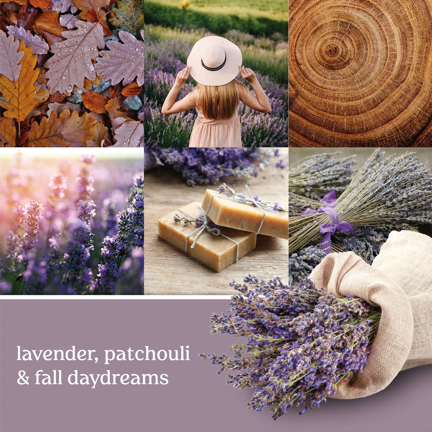 Dried Lavender & Oak Fragrance Spheres