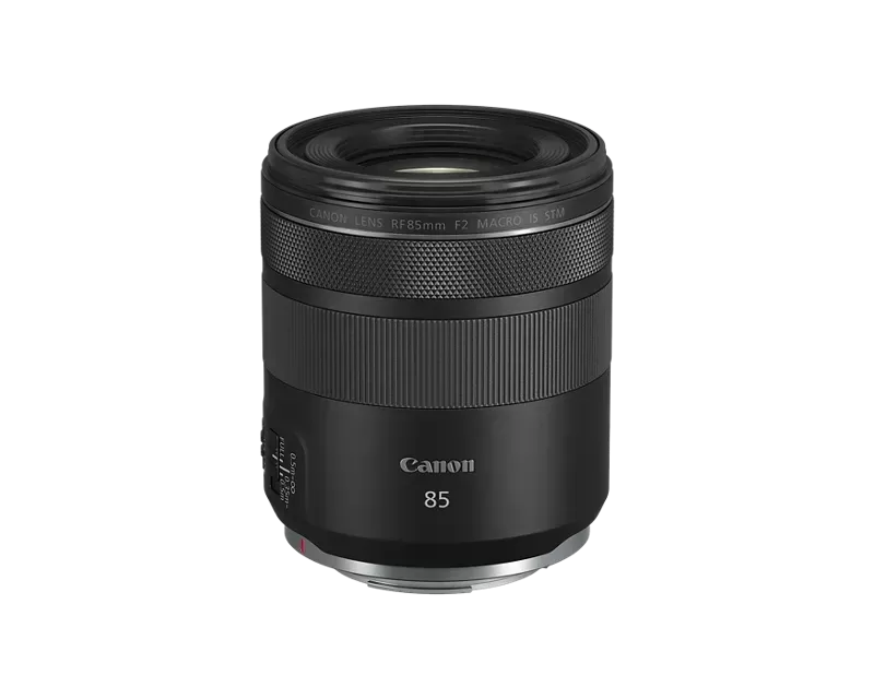 RF85mm F2 Macro IS STM