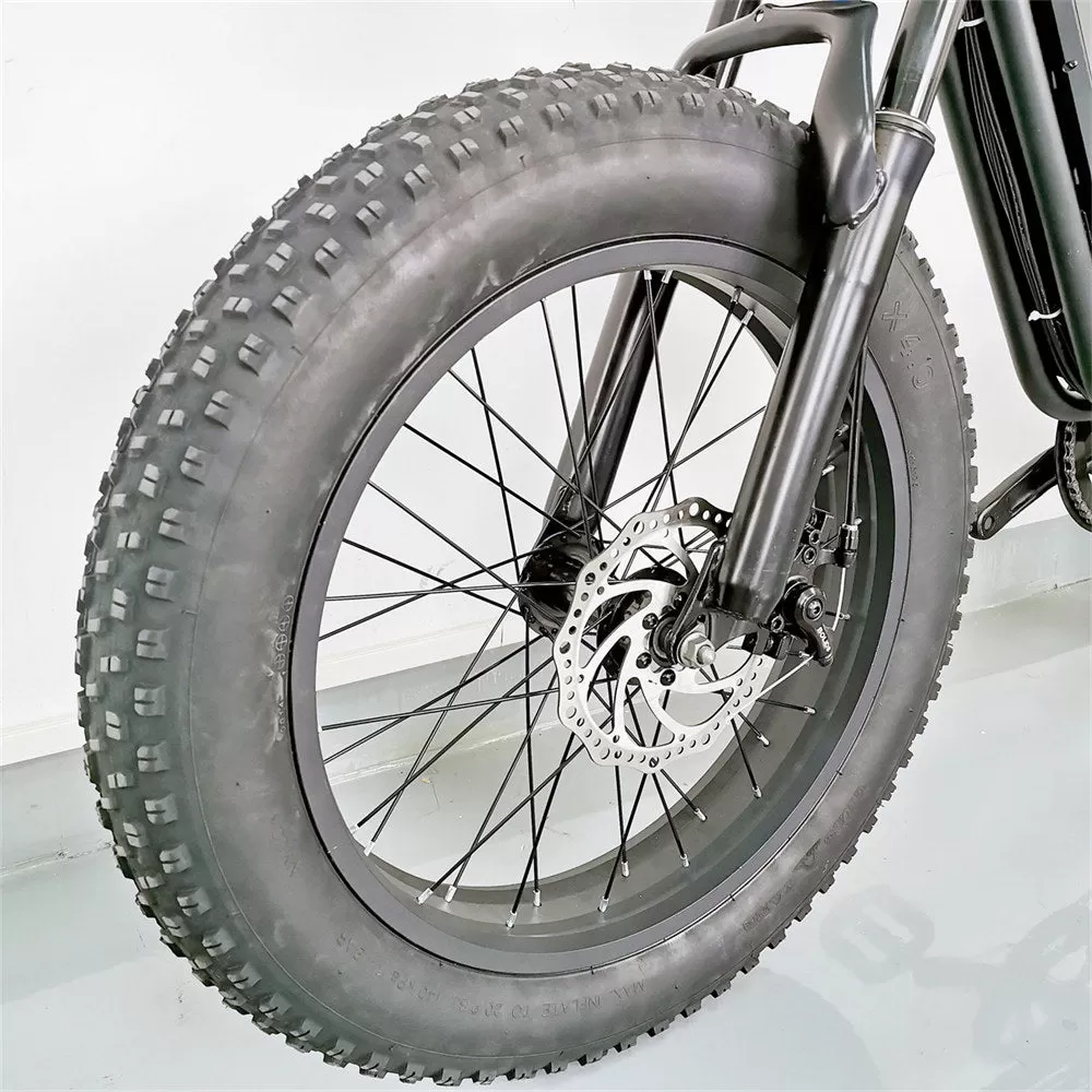 E-Bike C91 48V 20ah 1000W High performance motor 5 model and 7 Speed