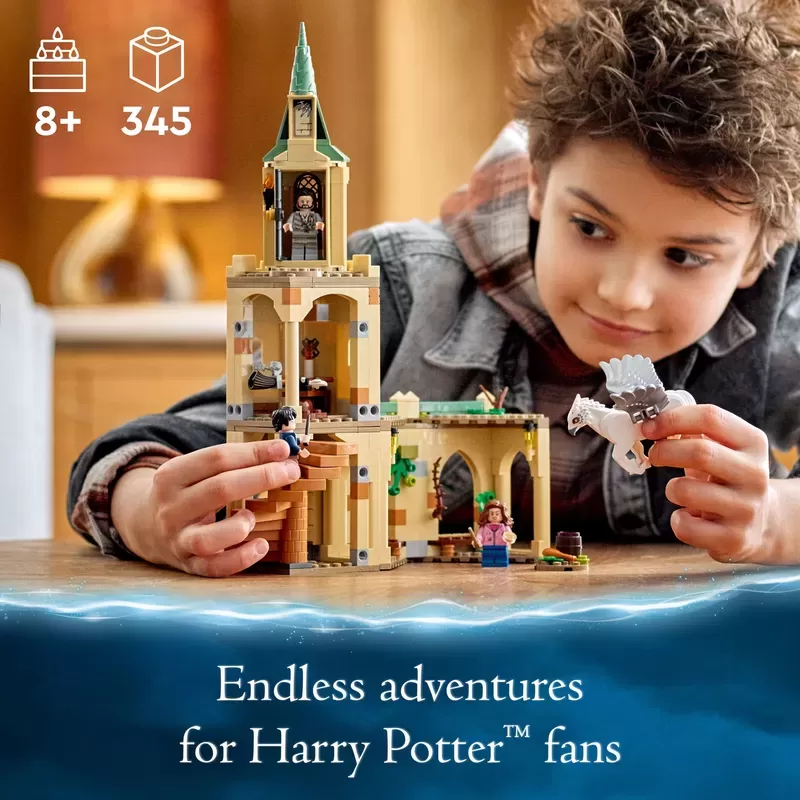 ® 76401 HARRY POTTER™ HOGWARTS™ COURTYARD: SIRIUS’S RESCUE BUILDING KIT