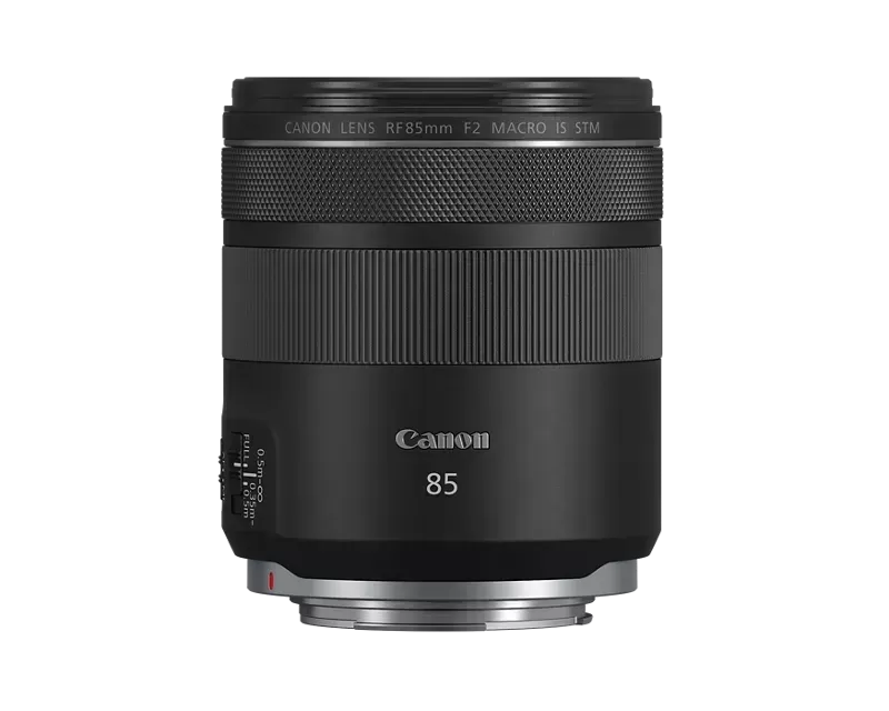 RF85mm F2 Macro IS STM