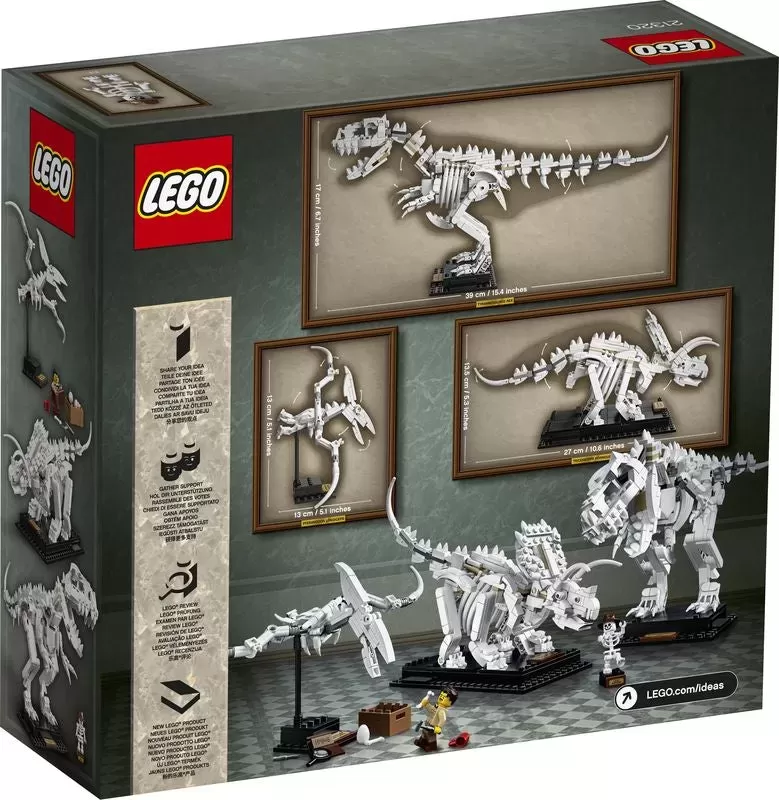 21320 IDEAS DINOSAUR FOSSILS