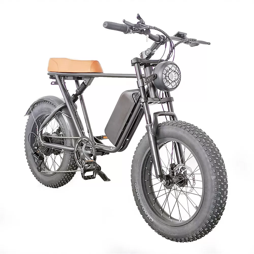 E-Bike C91 48V 20ah 1000W High performance motor 5 model and 7 Speed