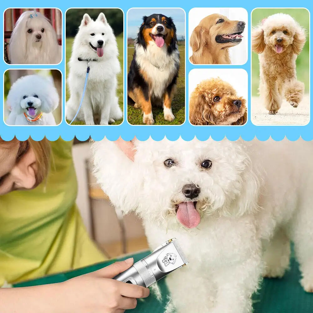 Pet Grooming Kit