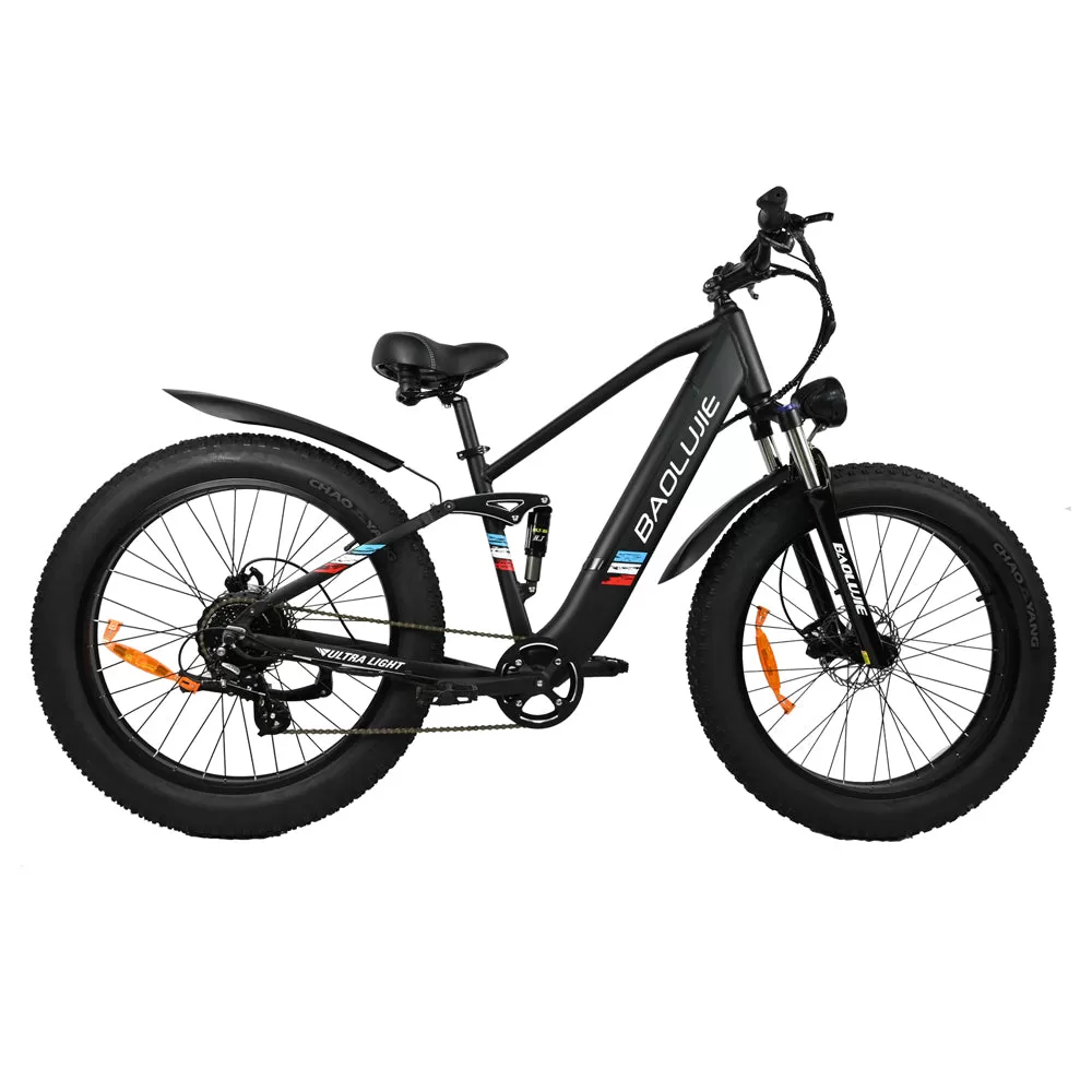 E-bike DP2615 Eel Shock Absorbers 48V12AH 26