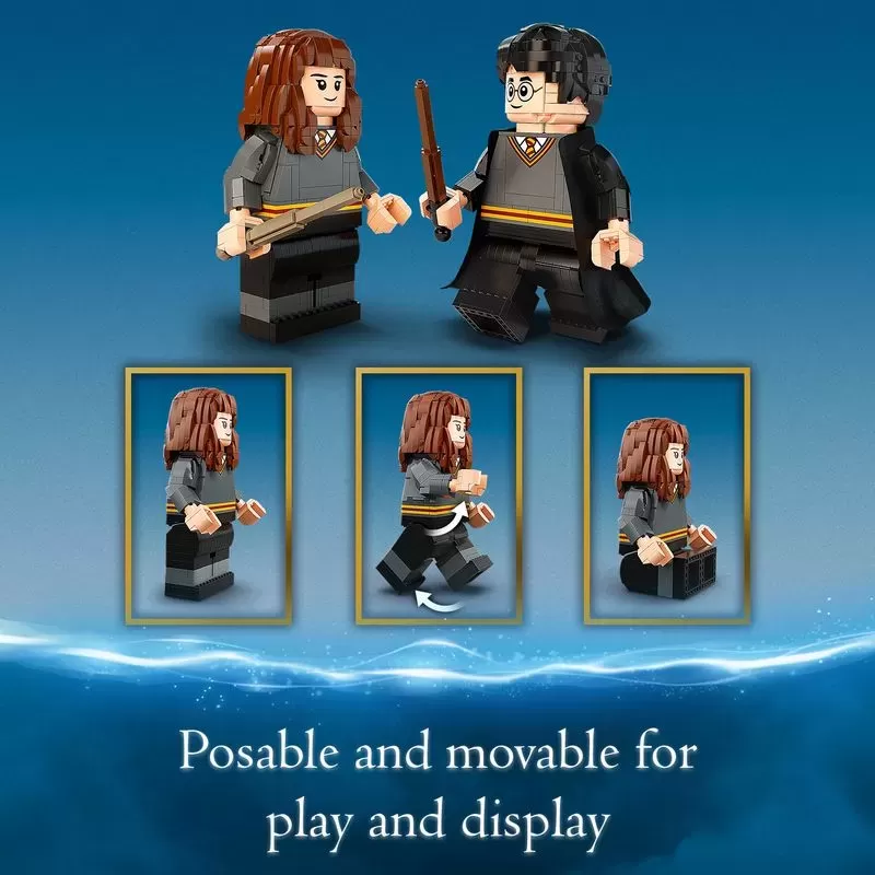 76393 HARRY POTTER HARRY POTTER & HERMIONE GRANGER