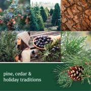 20 oz-Balsam & Cedar