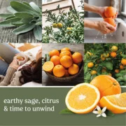 22 oz-Sage & Citrus