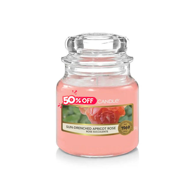 Sun Drenched Apricot Rose