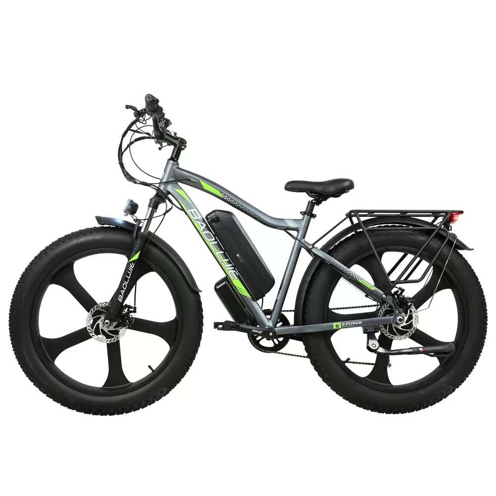 E-bike DP2620 All-in-one Tire 48V 13AH 750W Performance Motor
