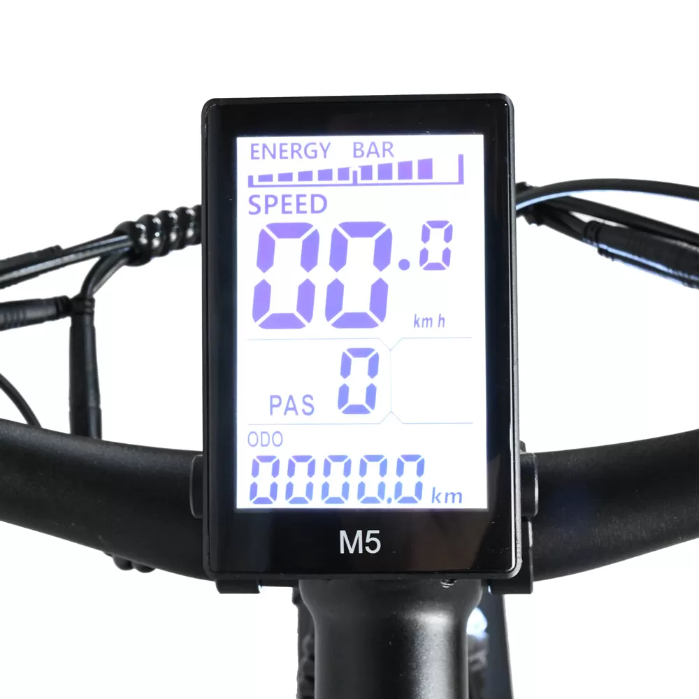 E-bike DP2620 All-in-one Tire 48V 13AH 750W Performance Motor