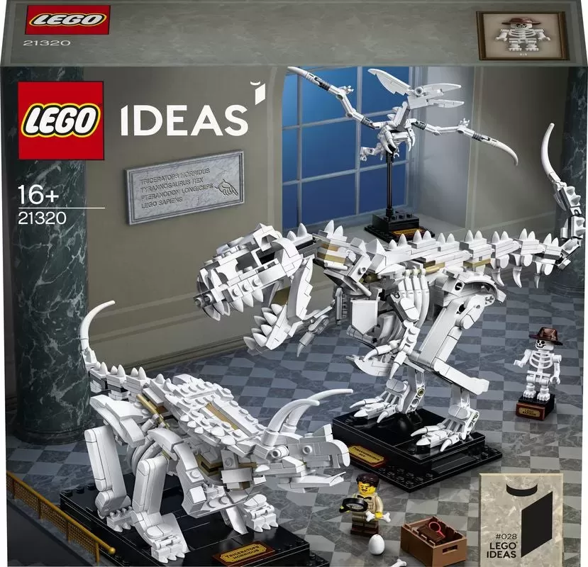21320 IDEAS DINOSAUR FOSSILS