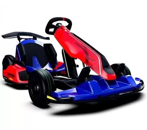 Outdoor Race Pedal Go Karting Car for Kids and Adults, Adjustable Length and Height
