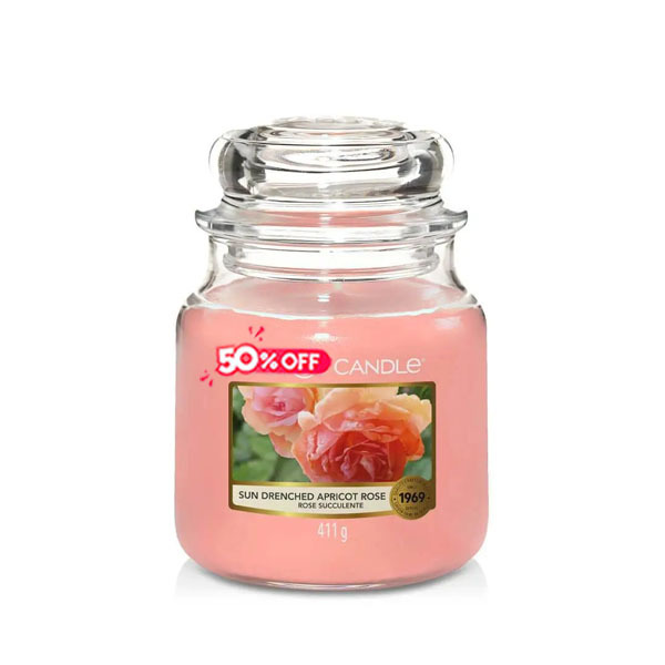 Sun Drenched Apricot Rose