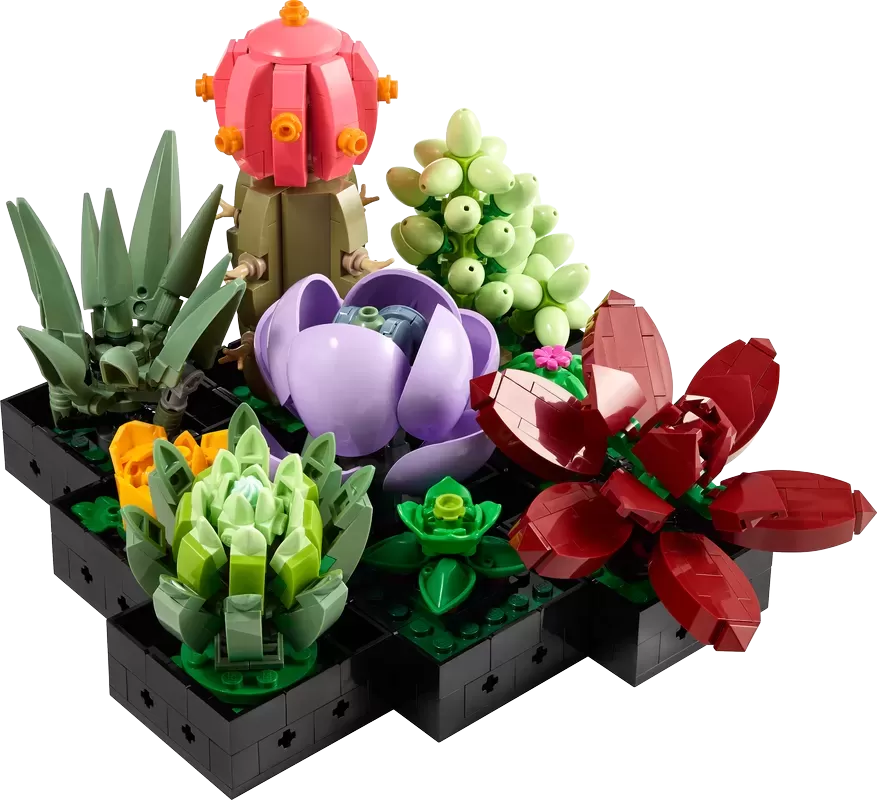 SUCCULENTS 10309 PLANT DECOR BUILDING KIT