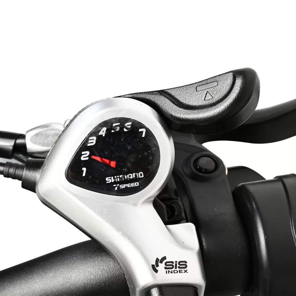 E-BIKE DZ2002 48V 13Ah 500W Performance Motor