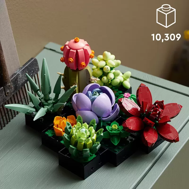 SUCCULENTS 10309 PLANT DECOR BUILDING KIT