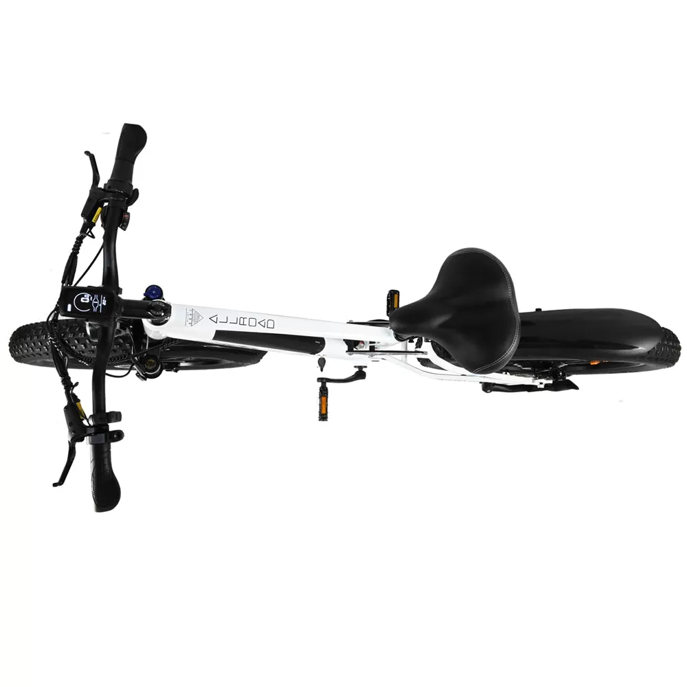 E-bike DP2615 Eel Shock Absorbers 48V12AH 26