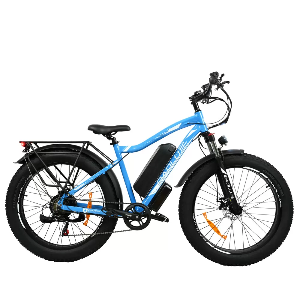 E-bike DP2619 Spoke Tire Type 48V 13AH 750W Performance Motor
