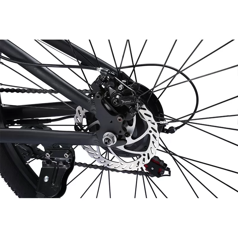 E-bike BK7 36V 10Ah 350W Motor Electric Ebike