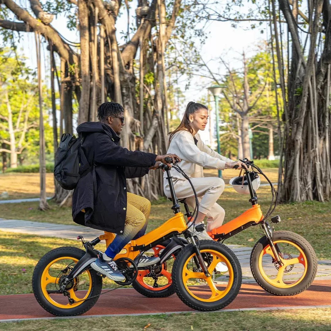 Best dual-battery magnesium alloy E-bike-Free shipping on orders over 40 and multiple discounts