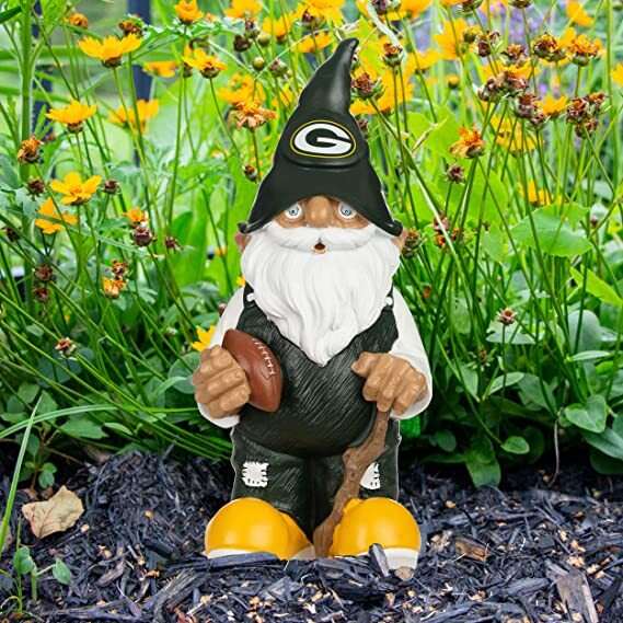 Green Bay Box-go Pack Go!