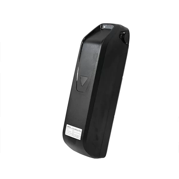 E-bike DP2602 48V 1000W*2 Dual Motor Hurricane Series