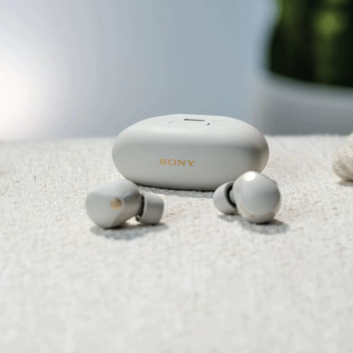 Sony WF-1000XM5
