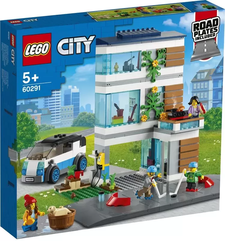 60291 CITY FAMILY HOUSE