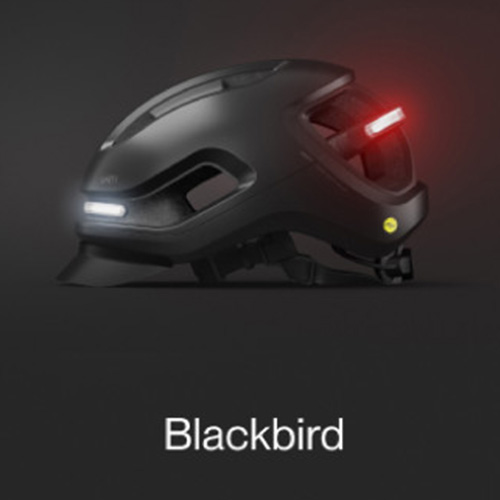 Hybrid Smart Helmet