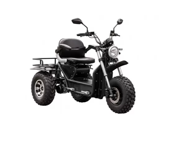 All Terrain Off Road Mobility Scooter 80km Battery Life【Free three-year warranty】