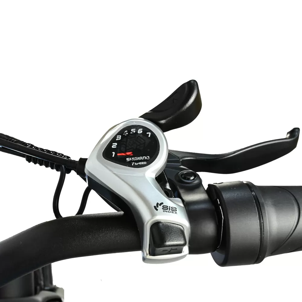 E-bike DP2619 Spoke Tire Type 48V 13AH 750W Performance Motor