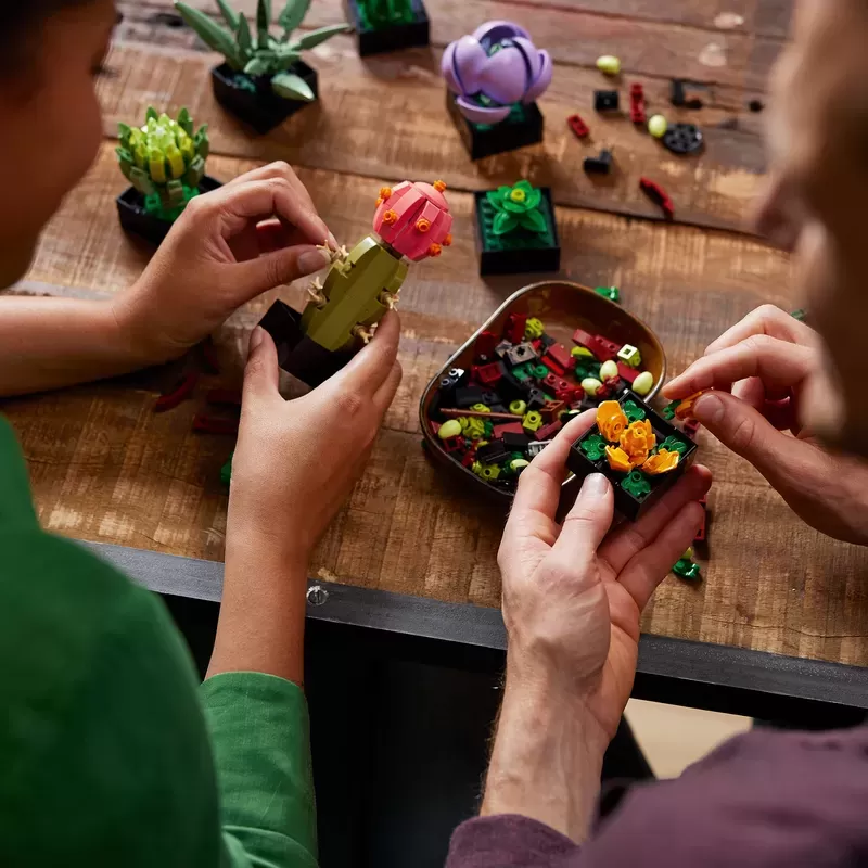 SUCCULENTS 10309 PLANT DECOR BUILDING KIT