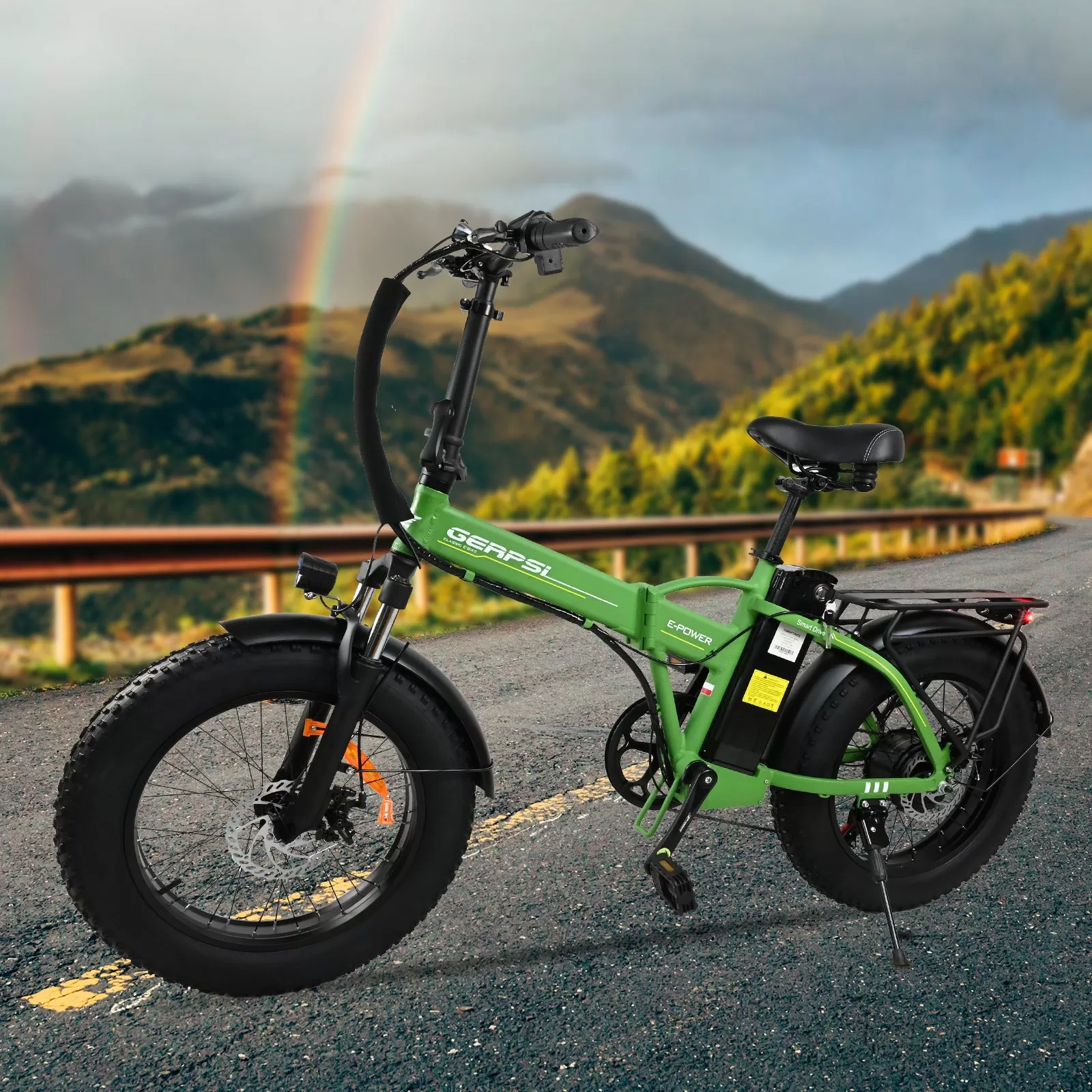 E-BIKE DZ2002 48V 13Ah 500W Performance Motor