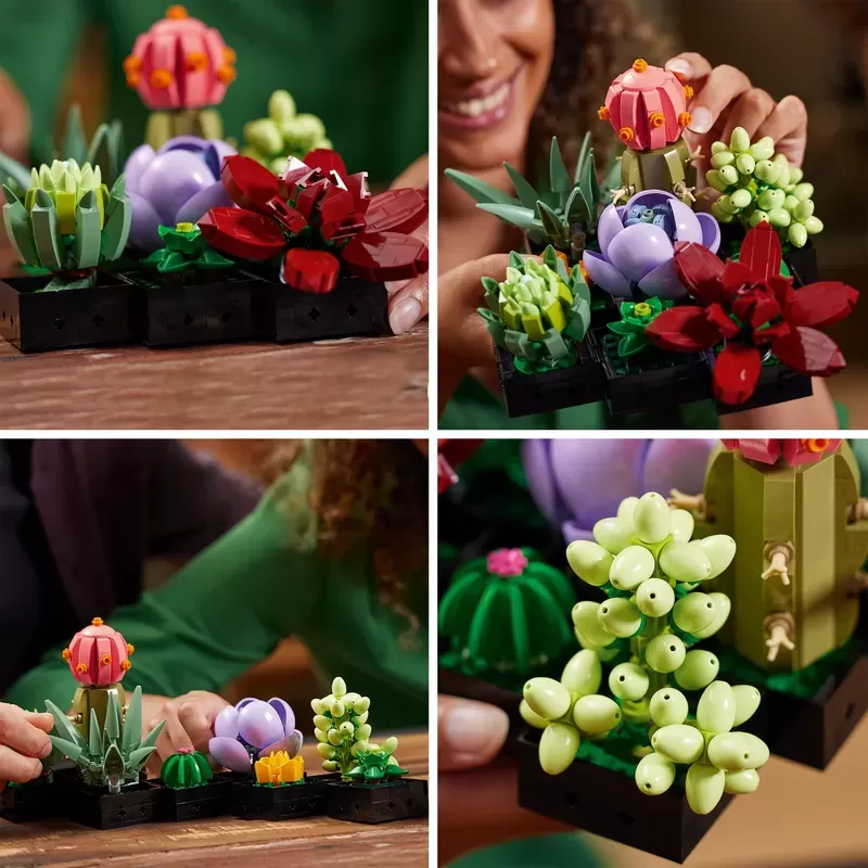 SUCCULENTS 10309 PLANT DECOR BUILDING KIT