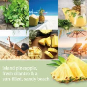 22 0z.Pineapple Cilantro